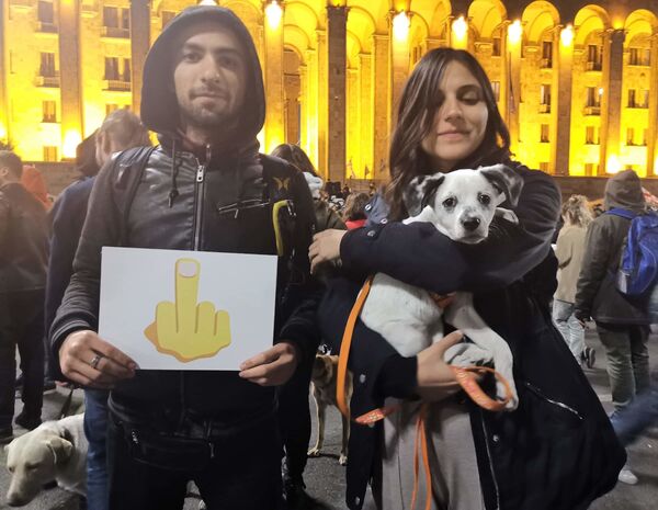 Участники акции приходили туда даже с домашними животными, среди протестующих было много молодежи - Sputnik Грузия