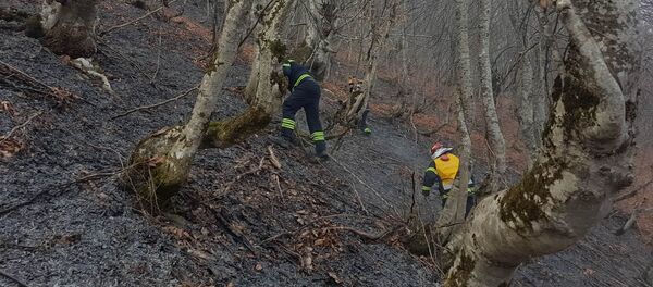 Последствия пожара в Сванети - Sputnik Грузия