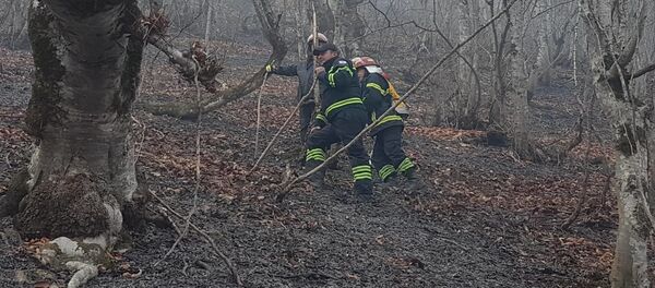 ხანძარი ხანძარი - Sputnik საქართველო