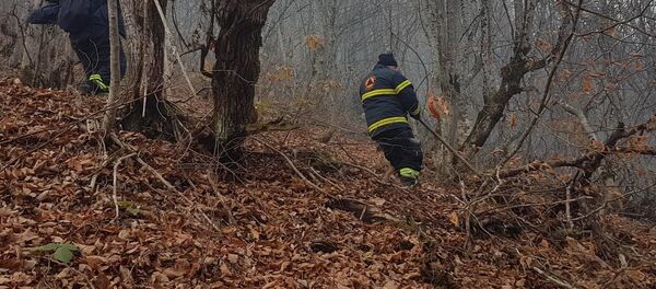 Последствия пожара в Сванети - Sputnik Грузия