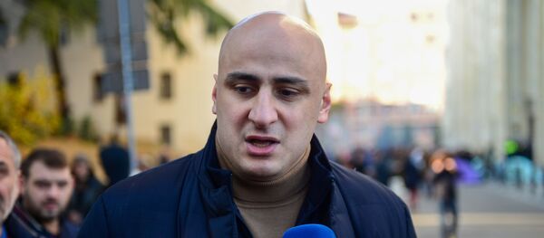 ნიკა მელია ნიკა მელია - Sputnik საქართველო