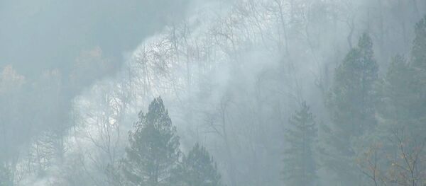 სვანეთში ტყეები იწვის: მეხანძრე-მაშველები და ადგილობრივები ხანძარს ებრძვიან სვანეთში ტყეები იწვის: მეხანძრე-მაშველები და ადგილობრივები ხანძარს ებრძვიან - Sputnik საქართველო