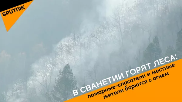 В Западной Грузии появился новый очаг пожара