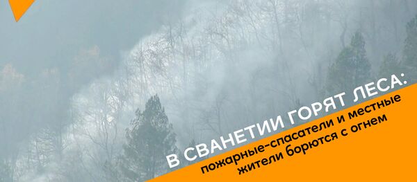 В Сванетии горят леса: пожарные-спасатели и местные жители борются с огнем - Sputnik Грузия