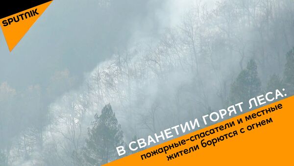 В Сванетии горят леса: пожарные-спасатели и местные жители борются с огнем - Sputnik Грузия