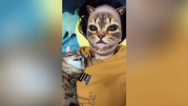 Ужасно или смешно? Хозяева разыгрывают своих кошек с помощью фильтра для камеры – видео - Sputnik Грузия
