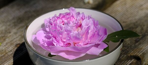 იორდასალამი იორდასალამი - Sputnik საქართველო