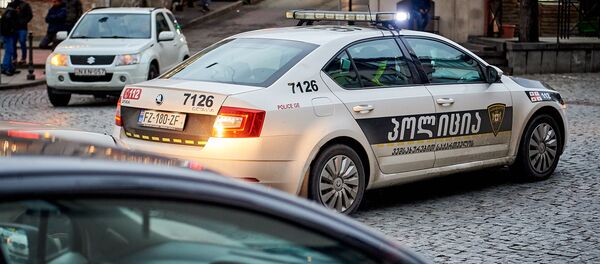 Патрульная полиция - Sputnik Грузия