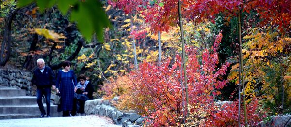 თბილისი - Sputnik საქართველო