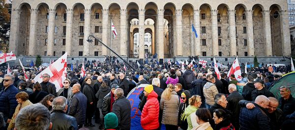 Акция протеста оппозиции у здания парламента Грузии, архивное фото - Sputnik Грузия