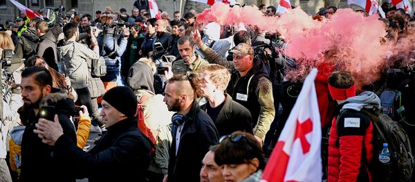 საპროტესტო აქცია პარლამენტთან საპროტესტო აქცია პარლამენტთან - Sputnik საქართველო