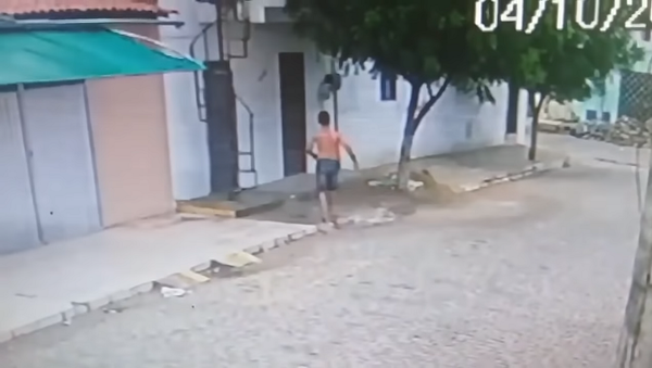 Мужчина сбежал от разъяренной жены после ссоры и спрятался на дереве – угарное видео - Sputnik Грузия