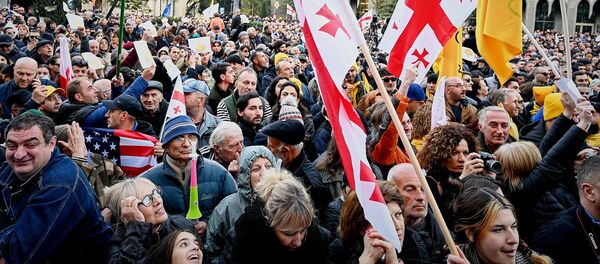 საპროტესტო აქცია საპროტესტო აქცია - Sputnik საქართველო