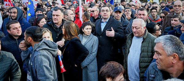 Гига Бокерия на акции протеста - Sputnik Грузия