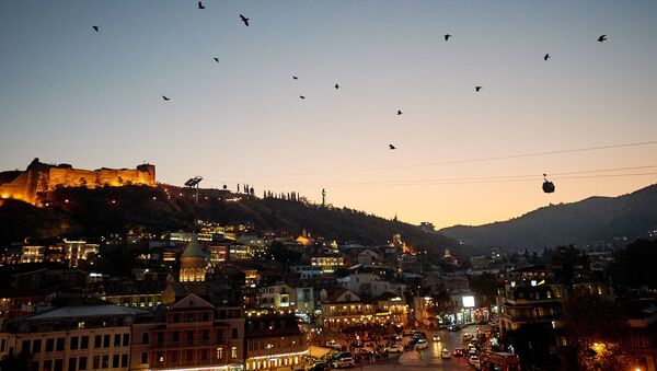 Птицы кружат вечером в небе над городом Тбилиси - Sputnik Грузия