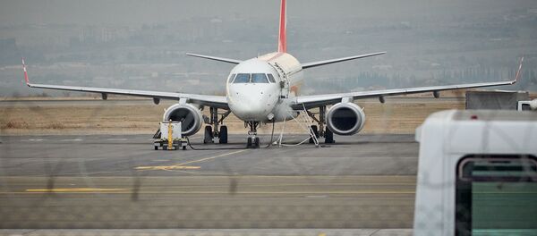 Пассажирский самолет на стоянке в аэропорту - Sputnik Грузия