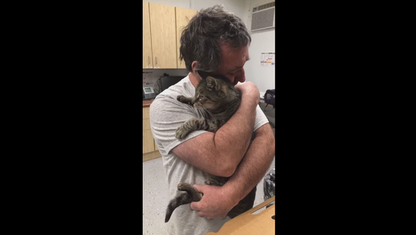 Мужчина воссоединился с потерянным котом после 7 лет разлуки – видео их встречи - Sputnik Грузия