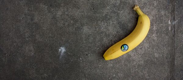 გახსოვდეთ: კანგაშავებული ბანანი სიმსივნის განვითარებასა და ვირუსებს ებრძვის - Sputnik საქართველო