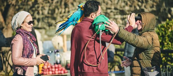 Туристы фотографируются на память в городе Мцхета Туристы фотографируются на память в городе Мцхета - Sputnik Грузия