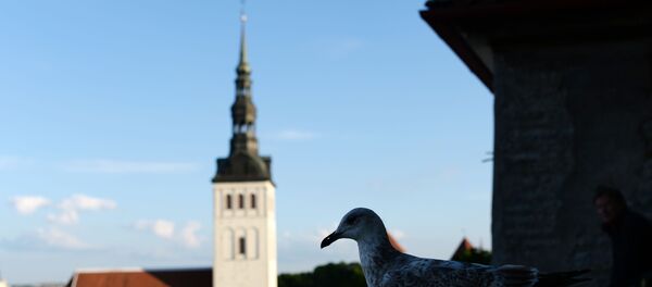 Города мира. Таллин - Sputnik Грузия