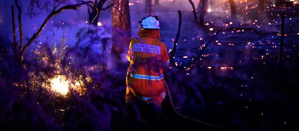 ხანძარი ავსტრალიაში ხანძარი ავსტრალიაში - Sputnik საქართველო