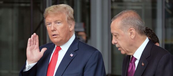 დონალდ ტრამპი და რეჯეფ ერდოღანი დონალდ ტრამპი და რეჯეფ ერდოღანი - Sputnik საქართველო