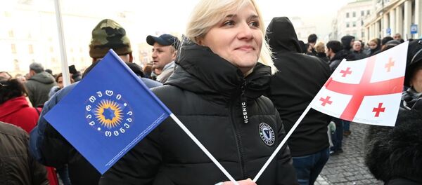 Многотысячный митинг сторонников Грузинской мечты. 14 декабря Многотысячный митинг сторонников Грузинской мечты. 14 декабря - Sputnik Грузия