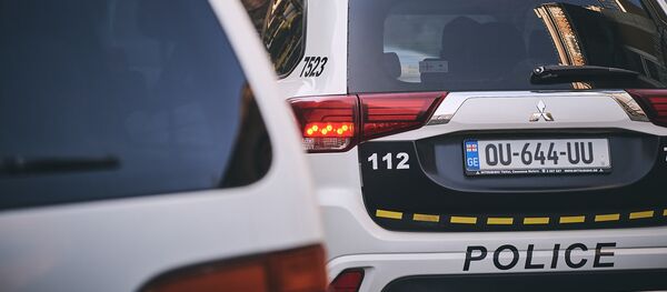 Патрульная полиция - Sputnik Грузия