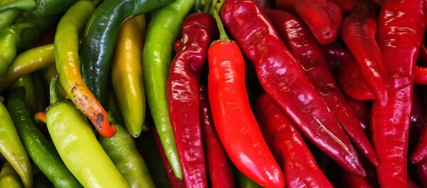 Продажа овощей Продажа овощей - Sputnik Грузия