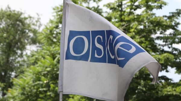 Флаг с символикой Организации по безопасности и сотрудничеству в Европе (ОБСЕ) - Sputnik Грузия