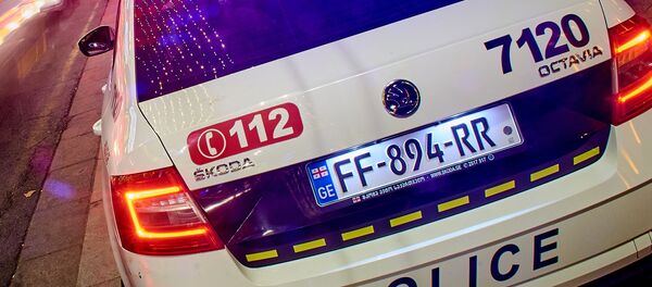 საპატრულო პოლიცია საპატრულო პოლიცია - Sputnik საქართველო