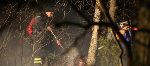 Пожарные в Атенском ущелье  - Sputnik Грузия