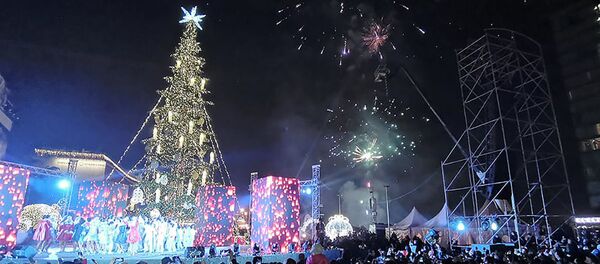 საახალწლო ნაძვის ხე საახალწლო ნაძვის ხე - Sputnik საქართველო