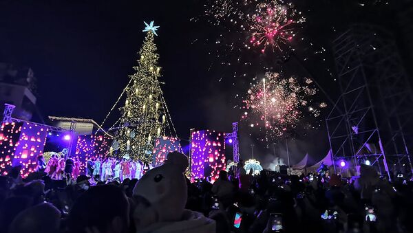Фейерверк над Тбилиси: как зажглись огни на главной новогодней елке Грузии - Sputnik Грузия