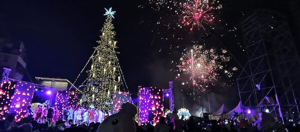 საზეიმო ფეიერვერკი თბილისის თავზე: როგორ აინთო საქართველოს მთავარი ნაძვის ხე საზეიმო ფეიერვერკი თბილისის თავზე: როგორ აინთო საქართველოს მთავარი ნაძვის ხე - Sputnik საქართველო