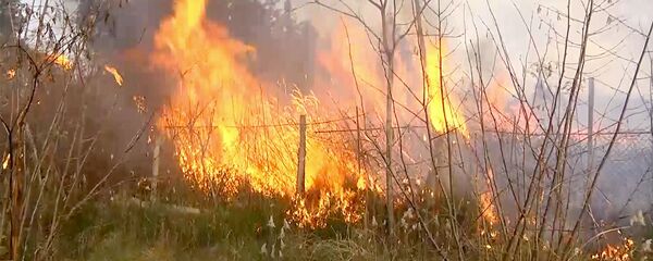 Лесной пожар у деревни Ормоци в Атенском ущелье в регионе Шида Картли Лесной пожар у деревни Ормоци в Атенском ущелье в регионе Шида Картли - Sputnik Грузия