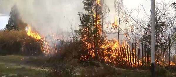 ხანძარი ხანძარი - Sputnik საქართველო