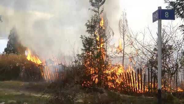 Лесной пожар у деревни Ормоци в Атенском ущелье в регионе Шида Картли - Sputnik Грузия