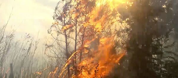 ხანძარი ატენის ხეობაში - Sputnik საქართველო