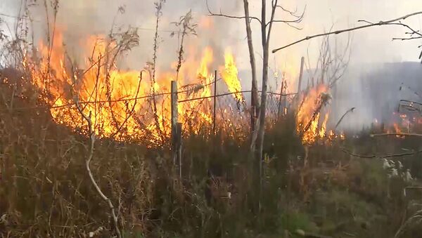 Лесной пожар у деревни Ормоци в Атенском ущелье в регионе Шида Картли - Sputnik Грузия