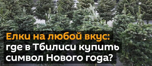 Елки на любой вкус: где в Тбилиси купить главный символ Нового года? - Sputnik Грузия