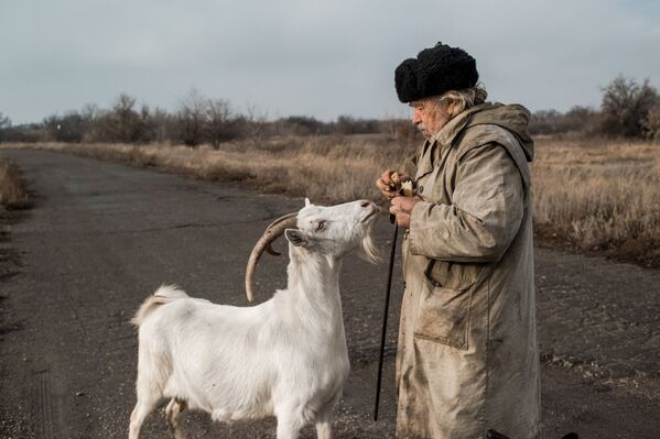 Пожилой мужчина с козой в поселке Донецкий Луганской области - Sputnik Грузия