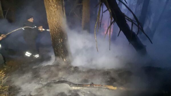 Лесной пожар у села Ормоци в Атенском ущелье. Пожарные-спасатели работают на месте ЧП - Sputnik Грузия