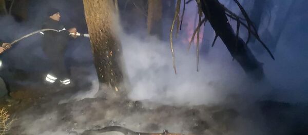 ტყის ხანძარი ატენის ხეობაში ტყის ხანძარი ატენის ხეობაში - Sputnik საქართველო