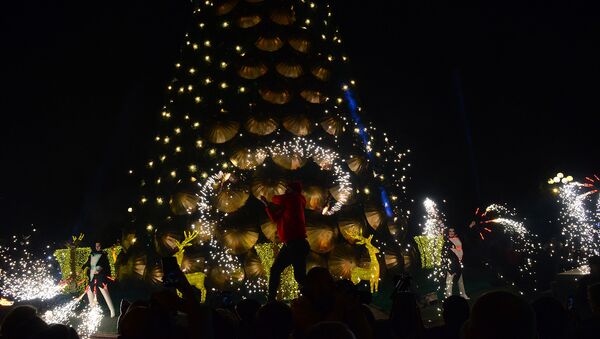 Новый год в Грузии: праздничные огни зажглись на главной елке Батуми - Sputnik Грузия