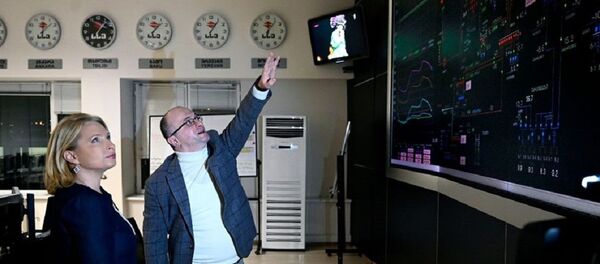 Натия Турнава в Национальном диспетчерском центре государственной электросистемы - Sputnik Грузия