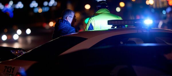 Патрульная полиция. Полицейский за работой - Sputnik Грузия