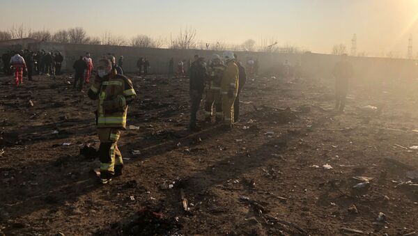 Украинский самолет Boeing 737  потерпел крушение вскоре после взлета в аэропорту Тегерана - Sputnik Грузия