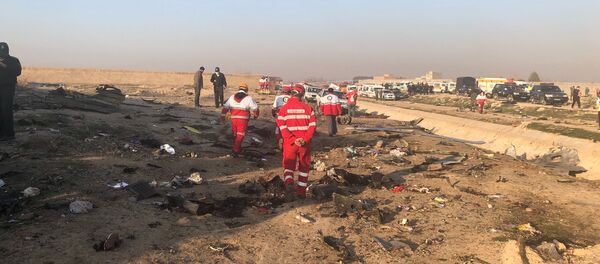 Boeing 737 -მა ირანში კატასტროფა განიცადა  Boeing 737 -მა ირანში კატასტროფა განიცადა - Sputnik საქართველო