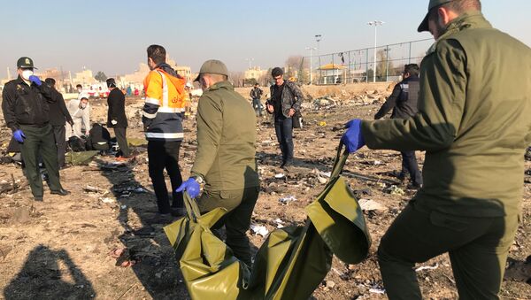 Последствия авиакатастрофы в аэропорту Тегерана - Sputnik Грузия